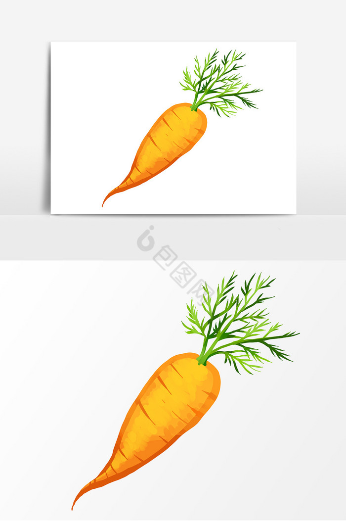 蔬菜胡萝卜图片