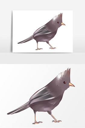 手绘卡通形象鸟类