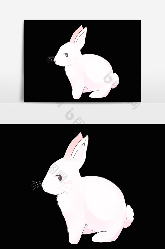 动物小白兔图片图片