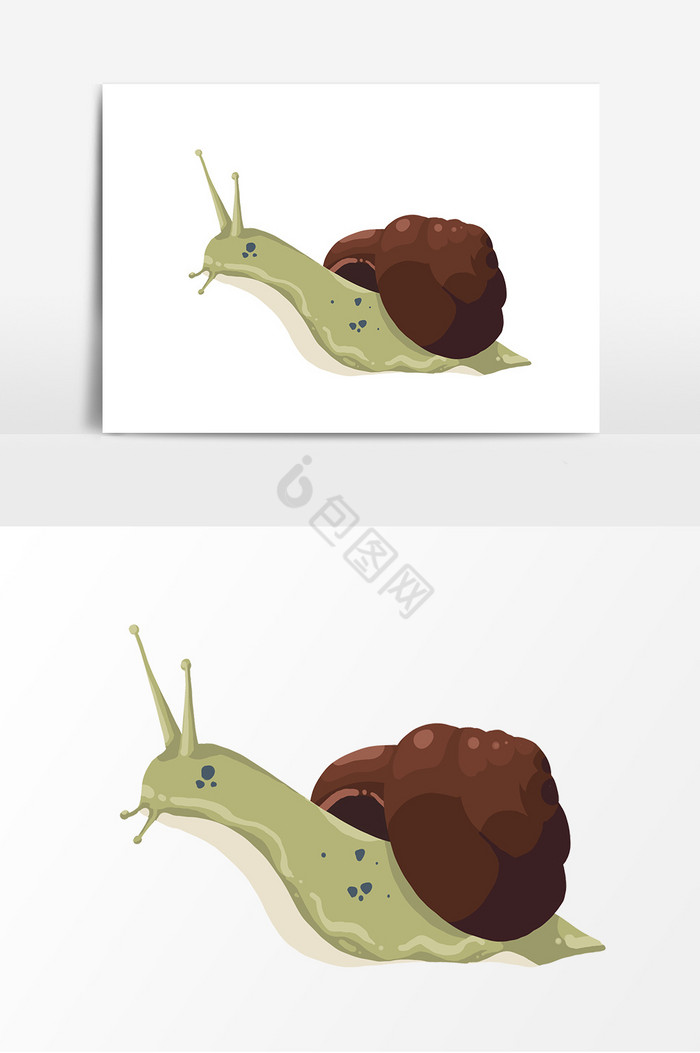 昆虫蜗牛图片