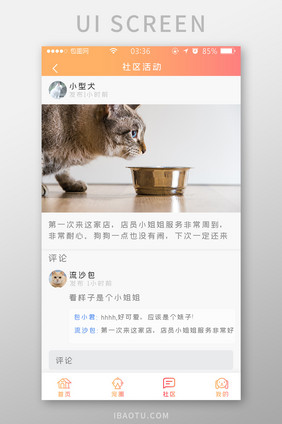 渐变黄橙色简约宠物社区活动UI移动界面