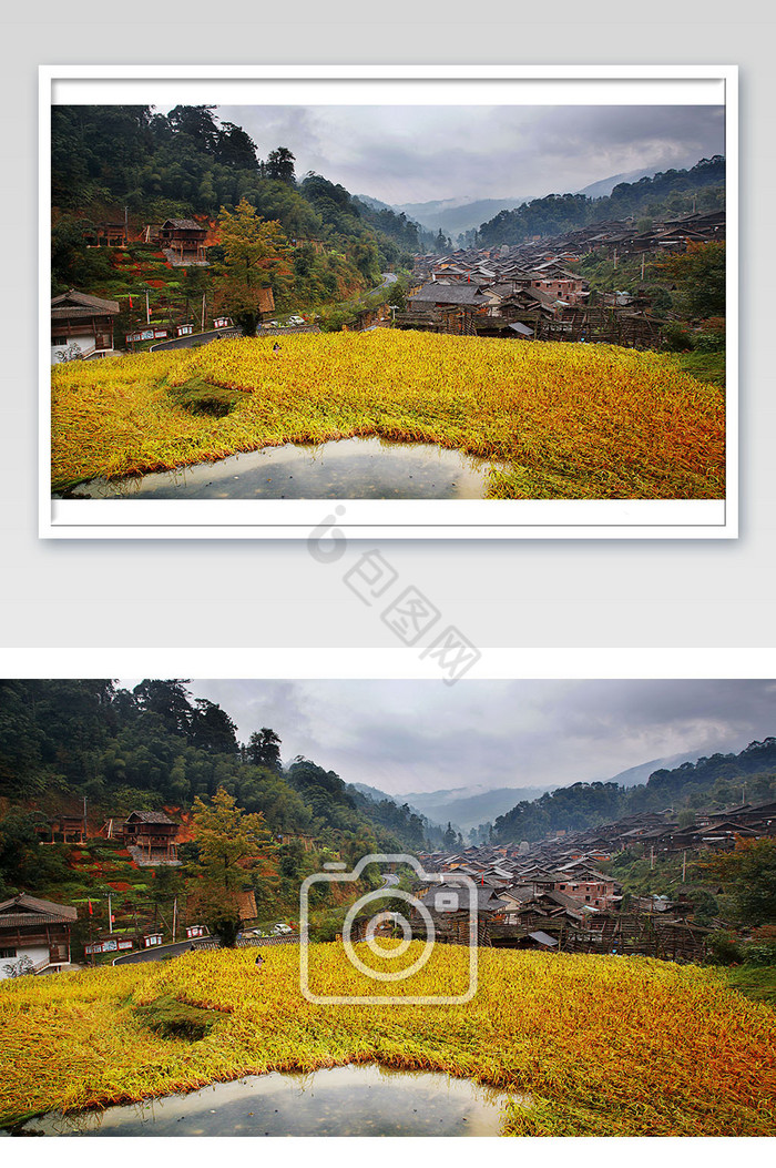 金色国庆侗寨大丰收风景摄影图片