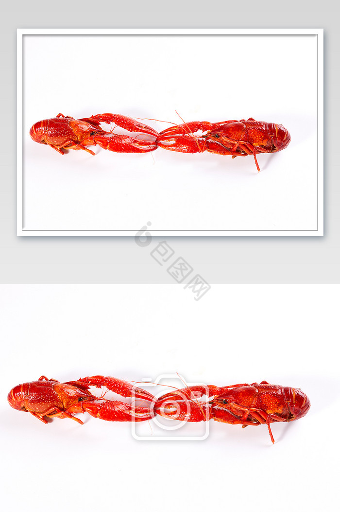 红色小龙虾麻辣白底图美食摄影图片