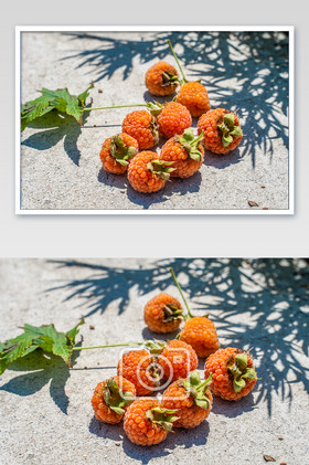 芒种树莓野果美味营养野草莓美食图