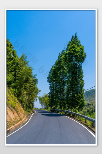 过道行走自驾旅行道路树木高清图摄影图图片