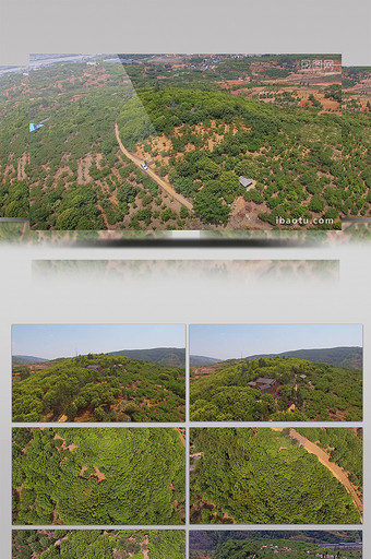 4k高清航拍高原红土地大面积山地杨梅林图片