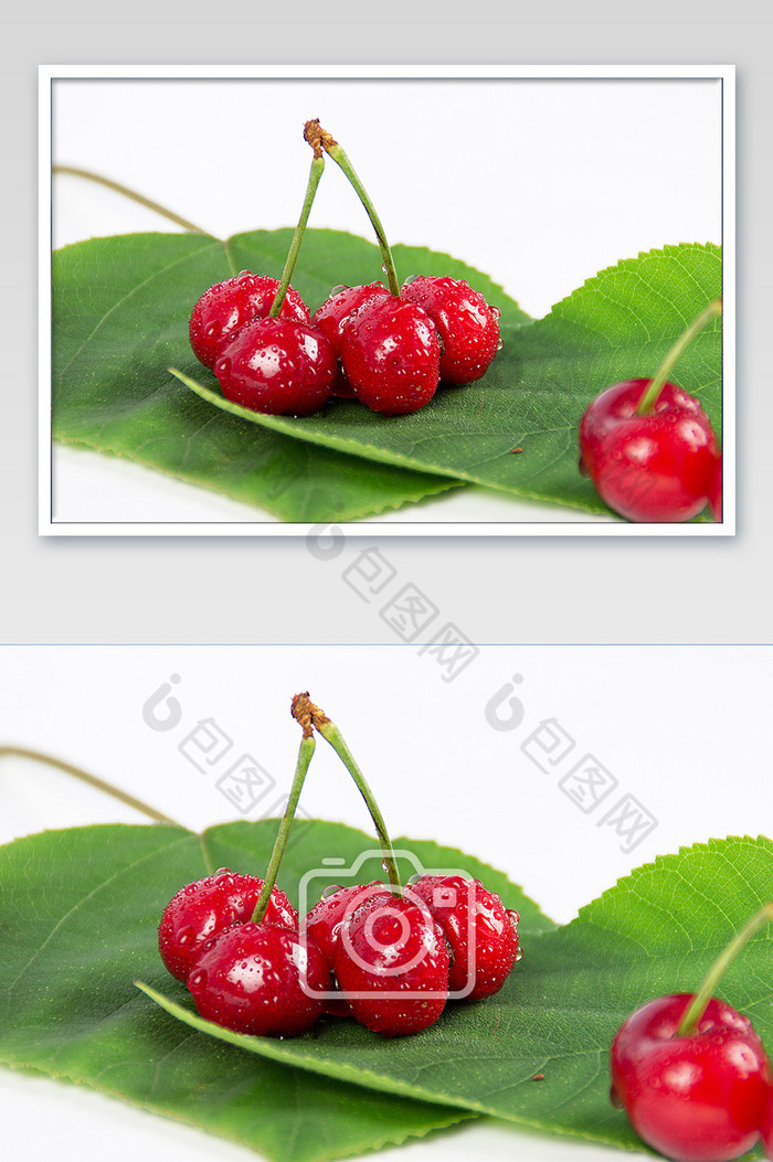 夏季水果樱桃绿叶摄影图片图片