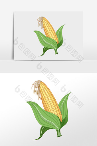手绘农作物粮食玉米插画图片