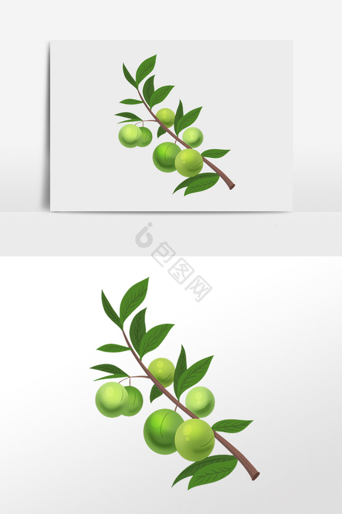 果枝水果插画图片