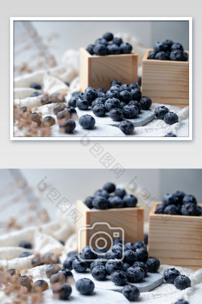 进口水果蓝莓蓝色浆果摄影图片