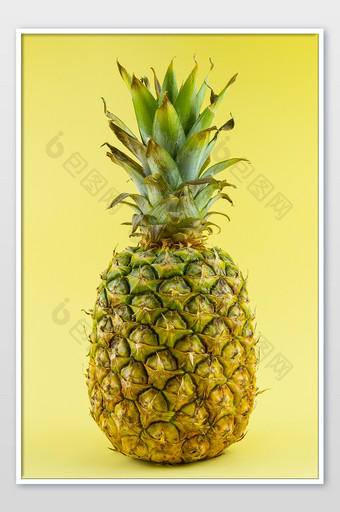 白底夏天的菠萝摄影图片
