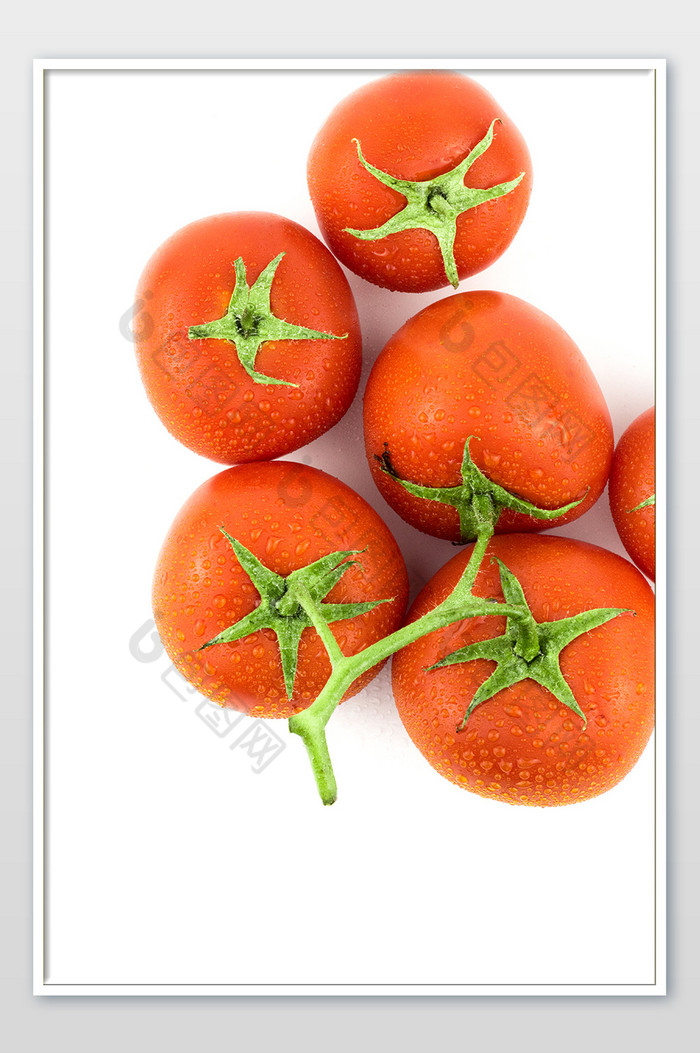 白底红色西红柿竖图摄影图片图片