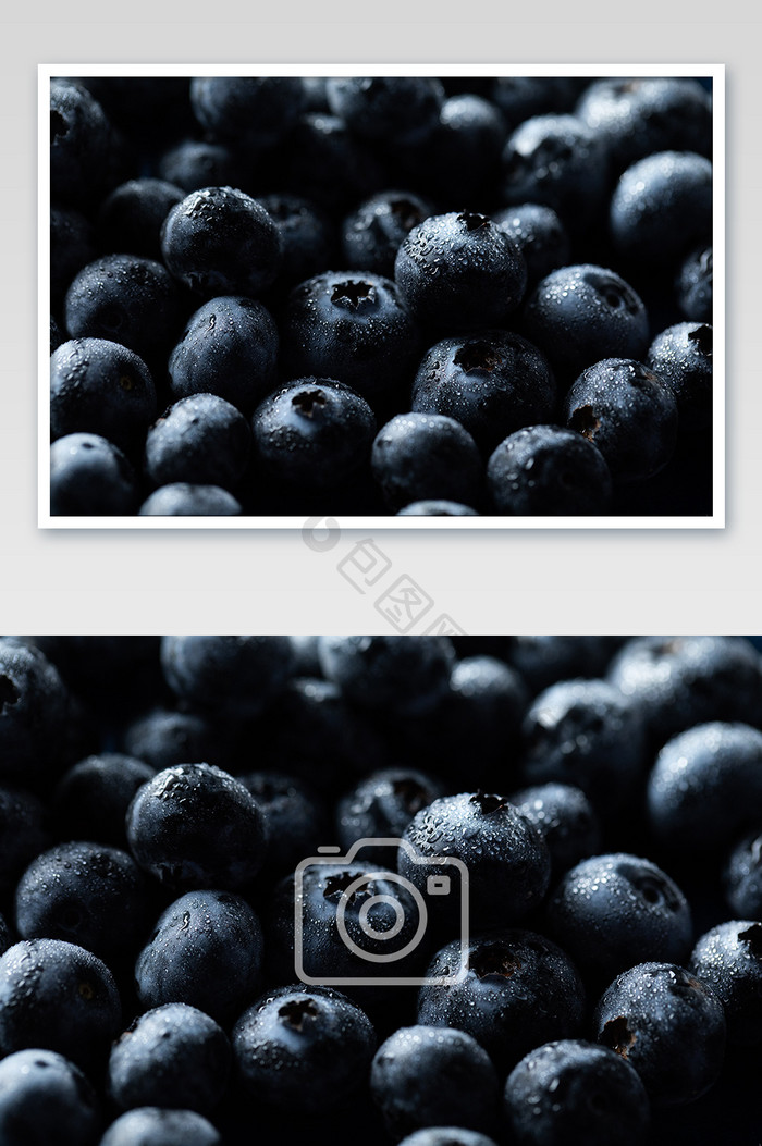 高对比蓝莓浆果细节特写创意摄影图片