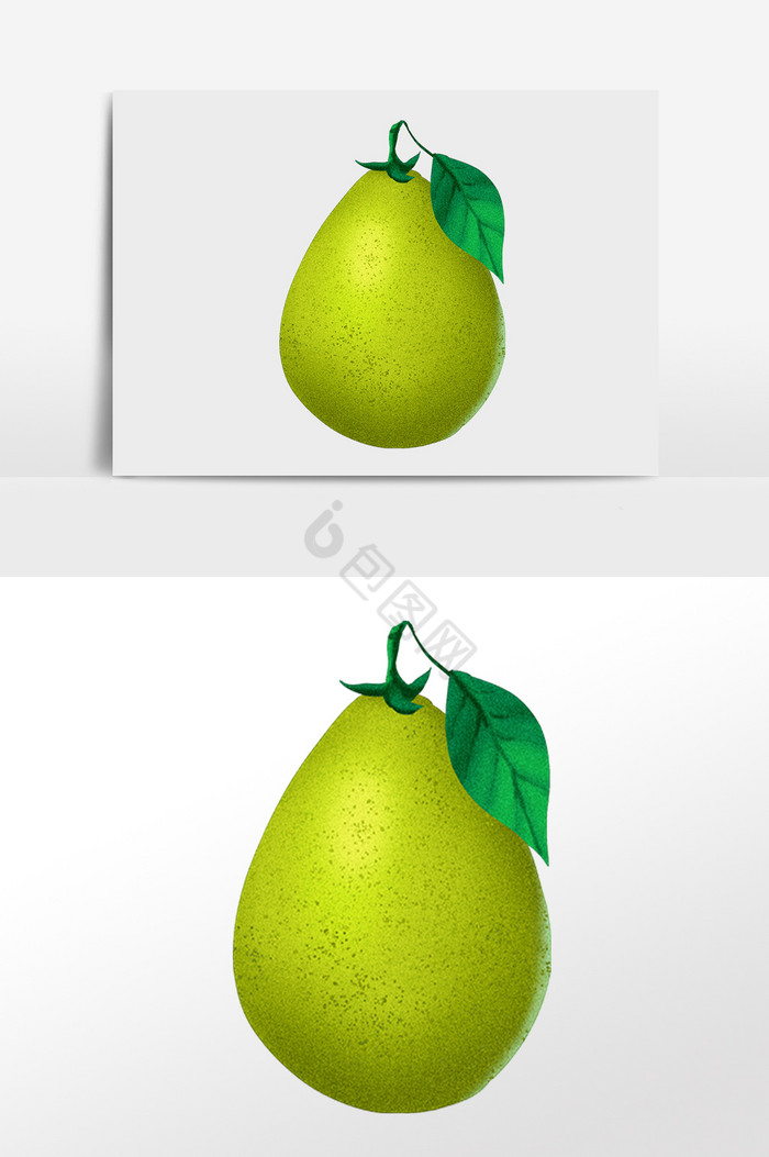 新鲜健康水果绿柚子插画图片