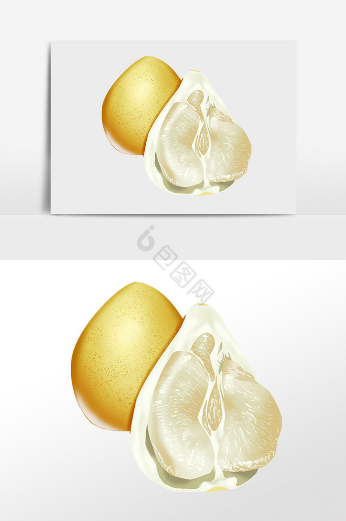 新鲜健康水果柚子插画图片