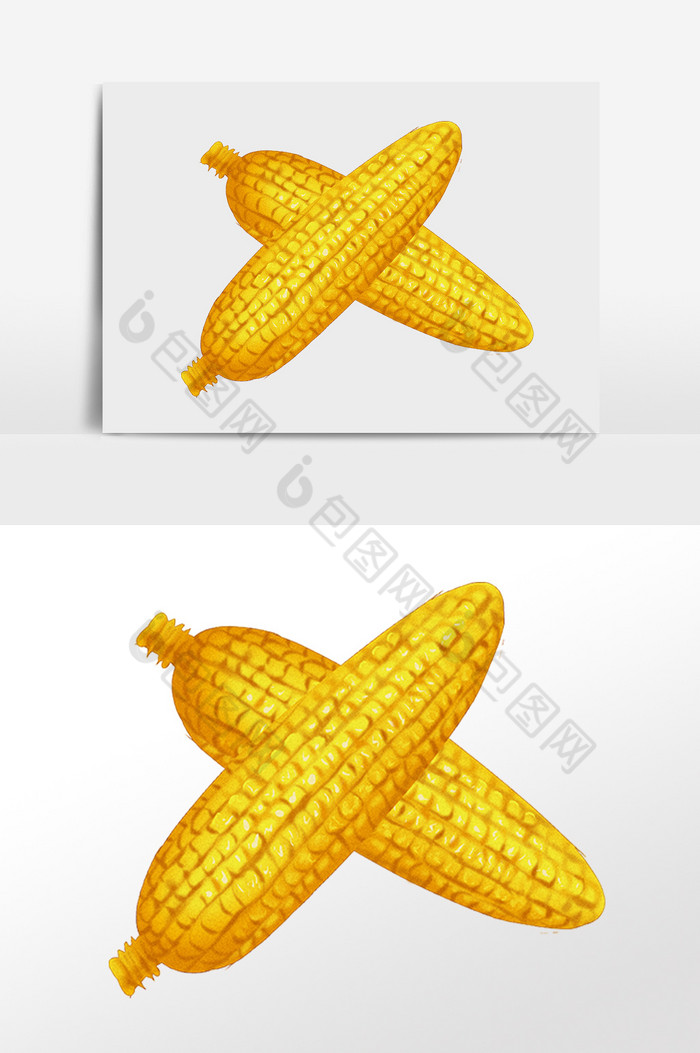 新鲜健康农作物黄玉米插画图片图片