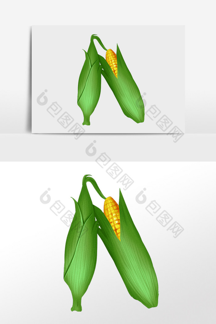 新鲜健康农作物玉米插画图片图片