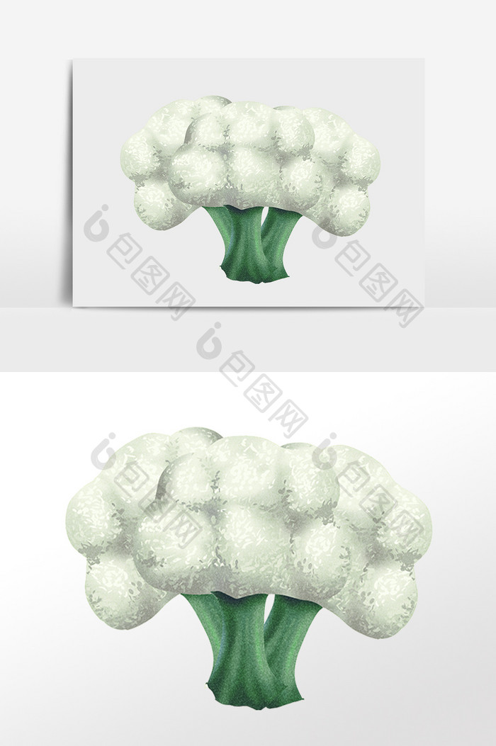 手绘绿色健康新鲜蔬菜花菜插画