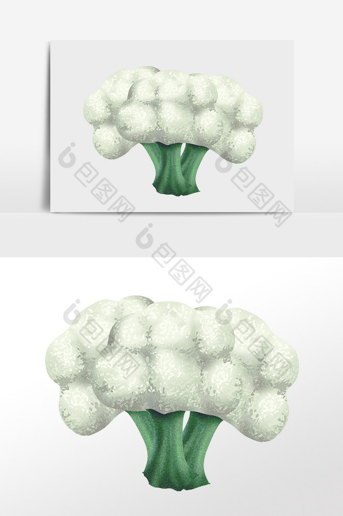 健康新鲜蔬菜花菜插画图片图片