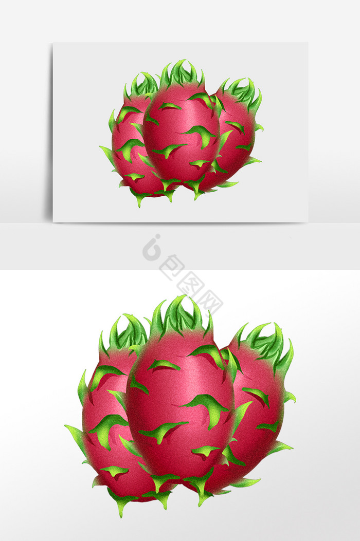 夏季新鲜水果红心火龙果插画图片