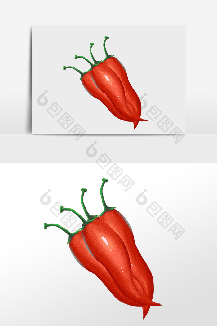 健康新鲜红辣椒插画图片图片