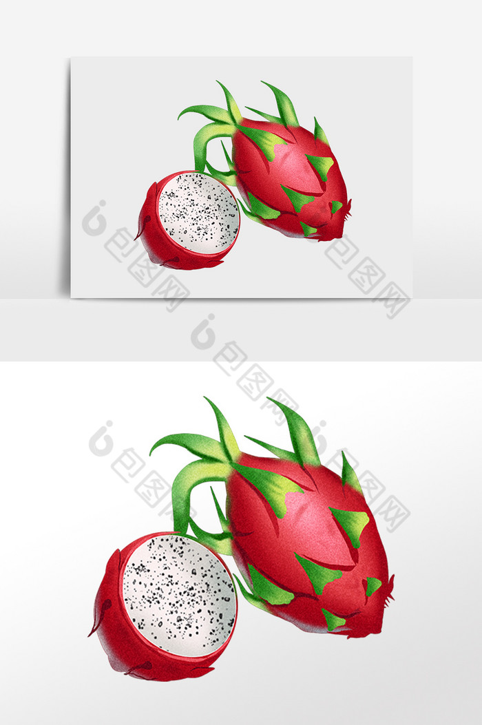 夏季新鲜水果白心火龙果插画图片图片