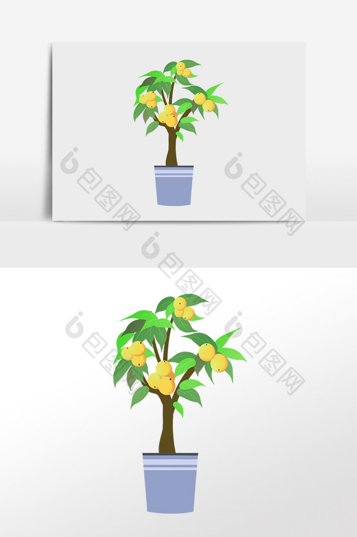 手绘绿色植物果树金桔树插画