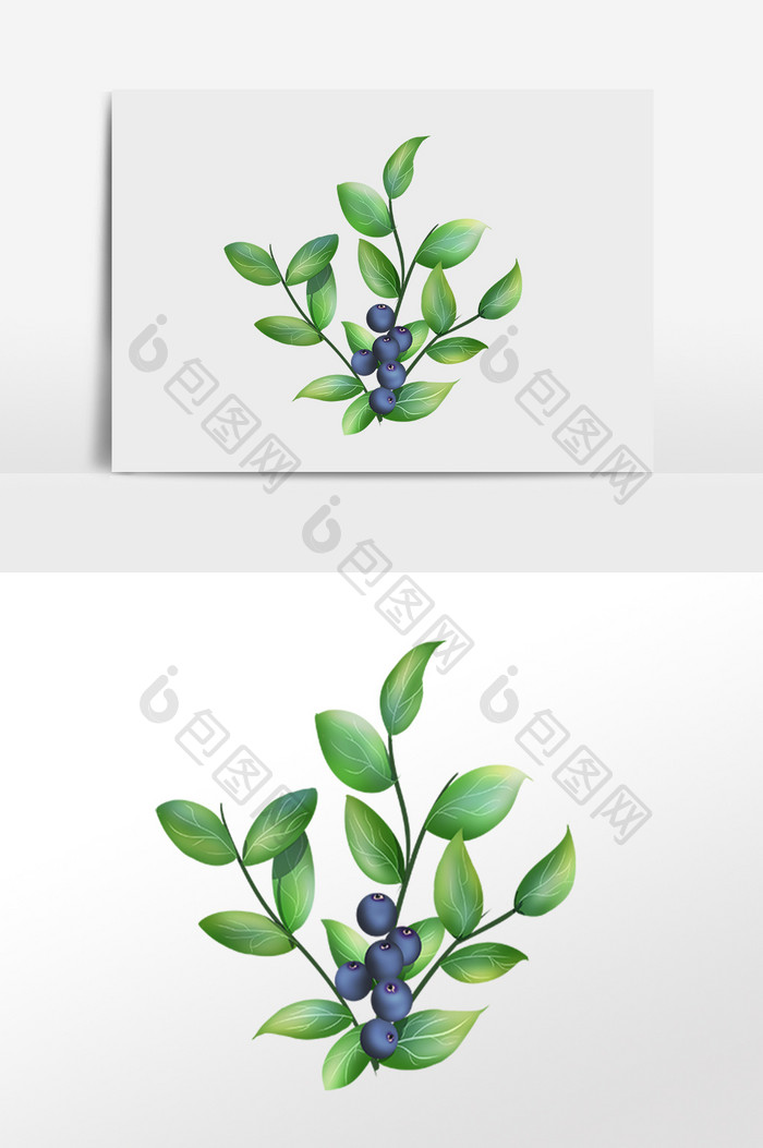 手绘绿色植物果树蓝莓树插画
