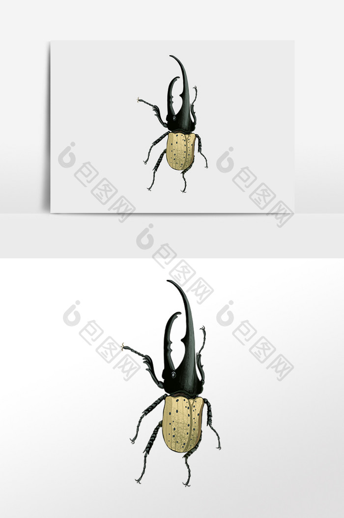 手绘卡通昆虫甲虫动物臭虫插画