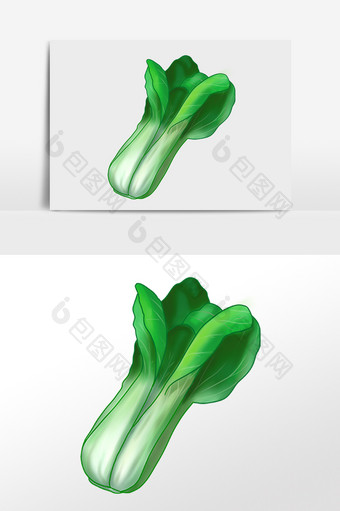 手绘绿色有机健康蔬菜青菜插画图片