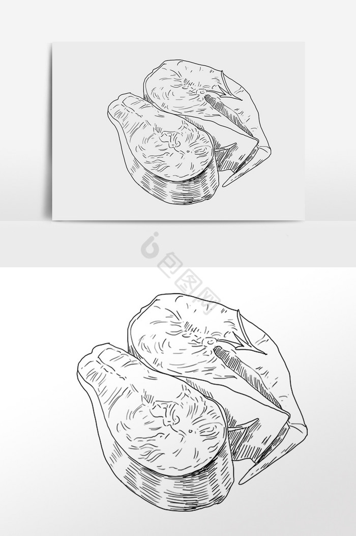 线描素描海鲜生物生蚝插画