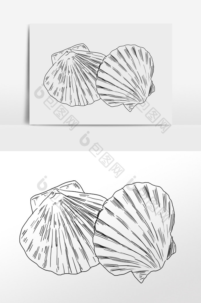 线描素描海鲜水产贝壳插画图片图片