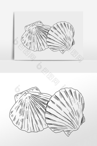 手绘线描素描海鲜水产贝壳插画图片