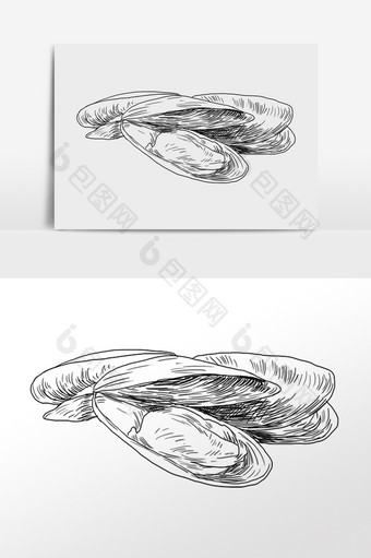 手绘线描素描海鲜食物插画图片