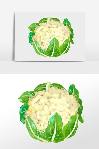手绘绿色新鲜有机蔬菜花菜插画