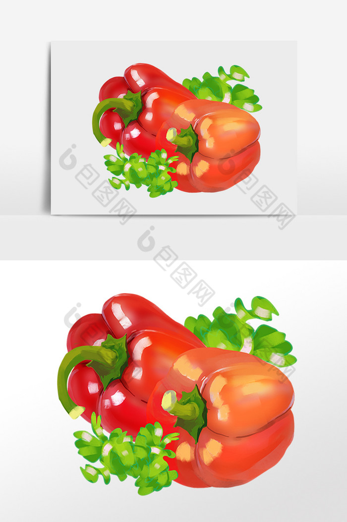 新鲜有机蔬菜红菜椒插画图片图片