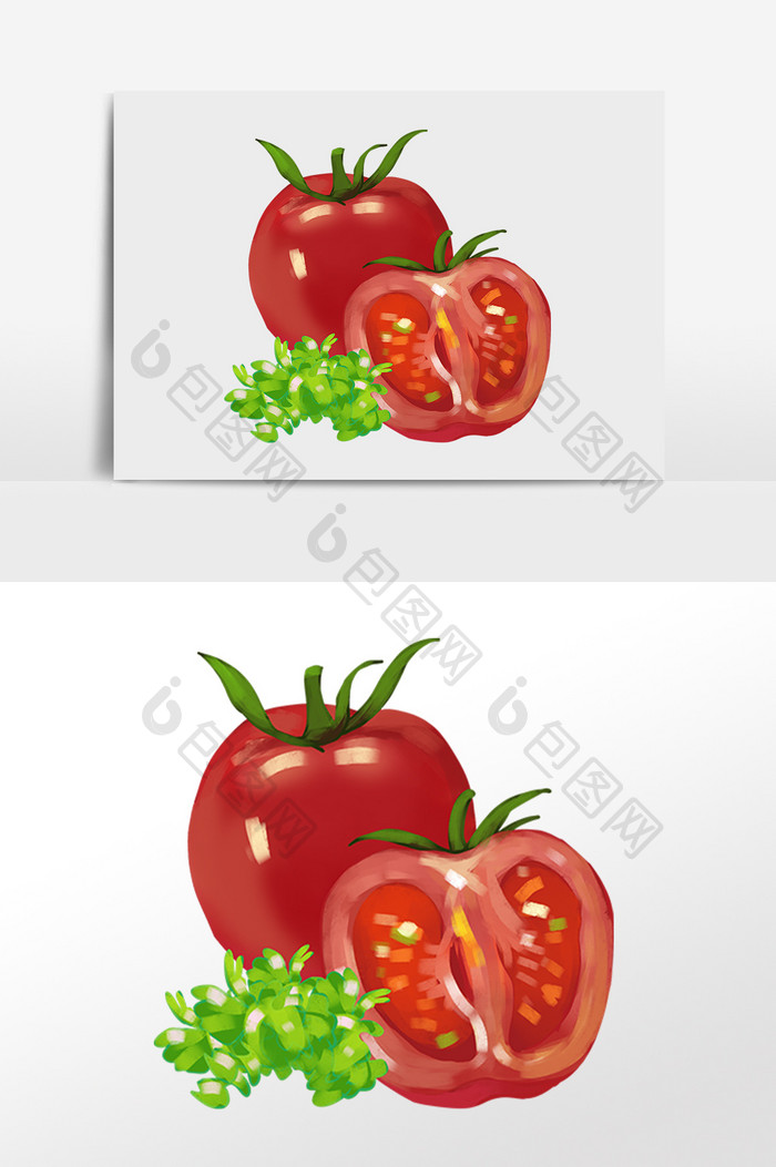 手绘绿色新鲜有机蔬菜番茄插画