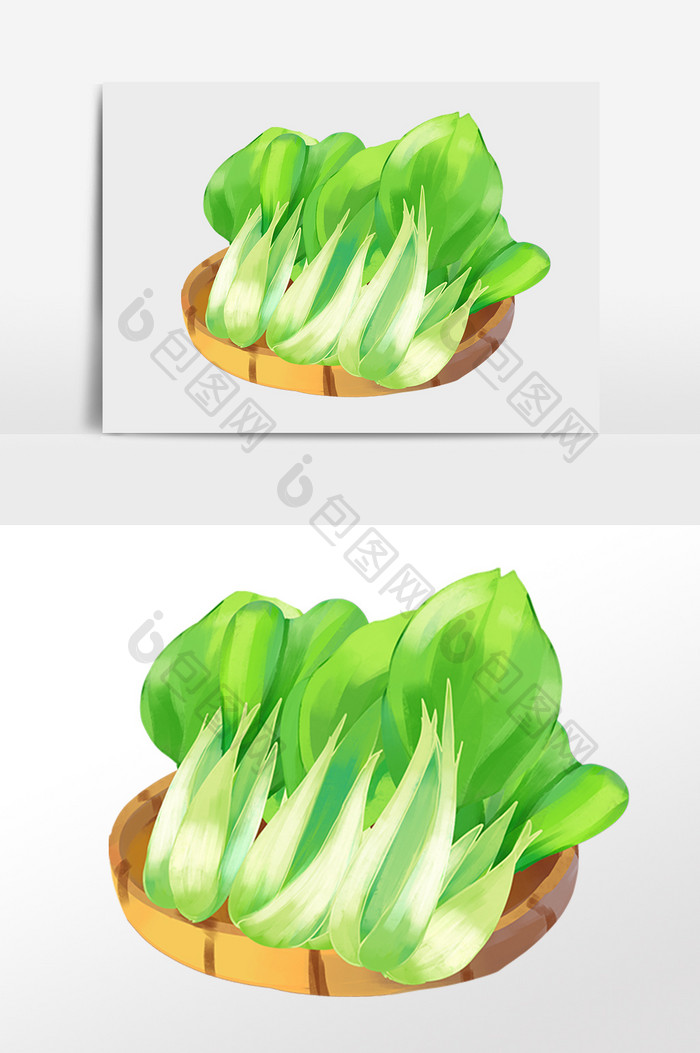 手绘绿色新鲜有机蔬菜油菜插画