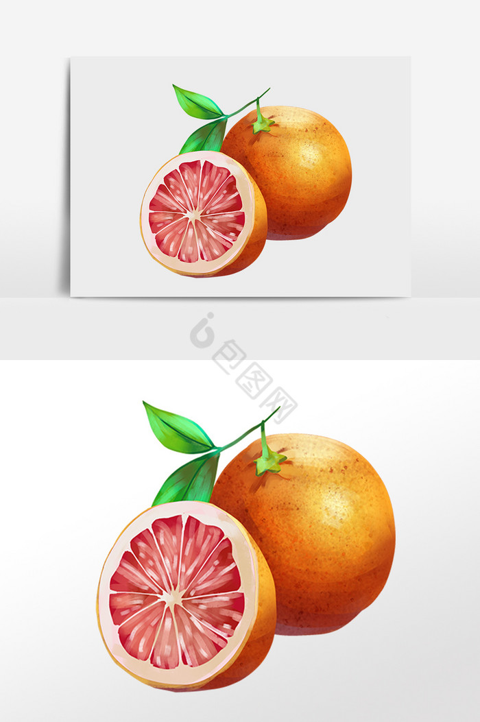新鲜有机美味水果红柚插画图片