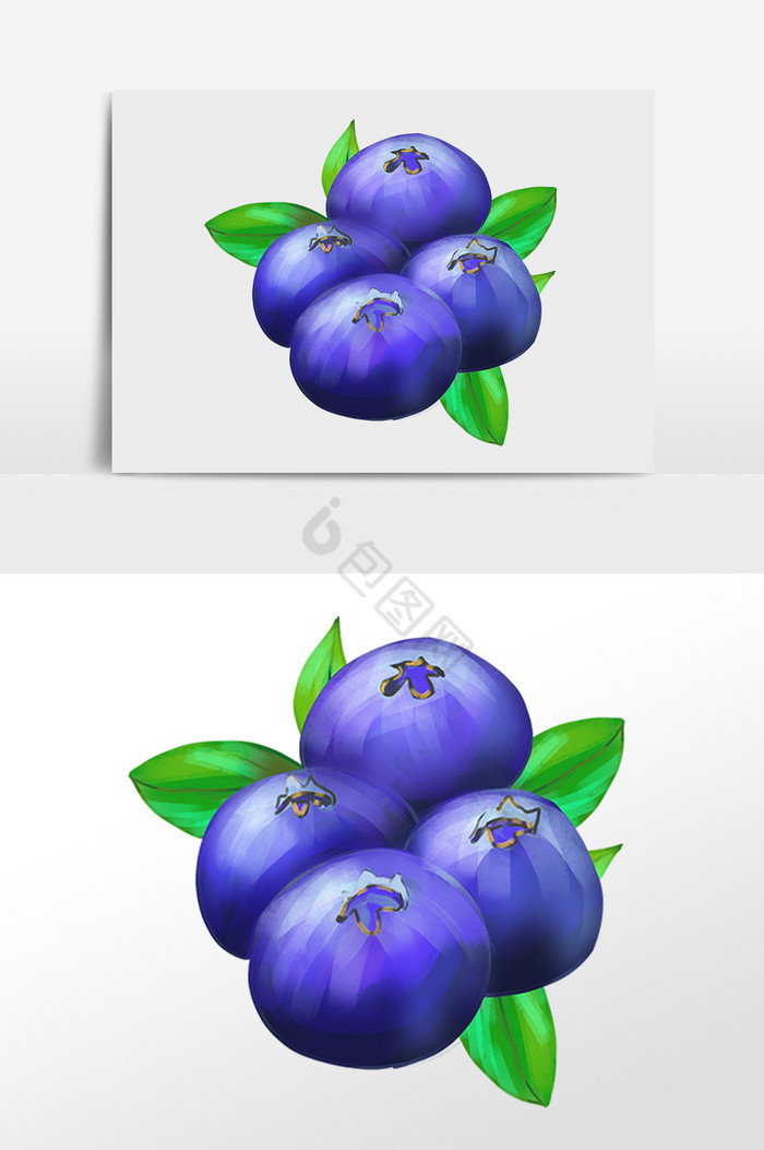 新鲜有机美味水果蓝莓插画图片