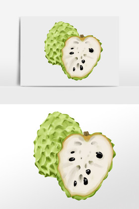 新鲜有机美味水果释迦插画
