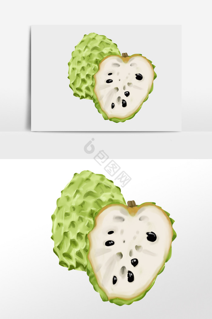 新鲜有机美味水果释迦插画