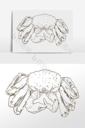 手绘线描素描海鲜食物螃蟹插画图片