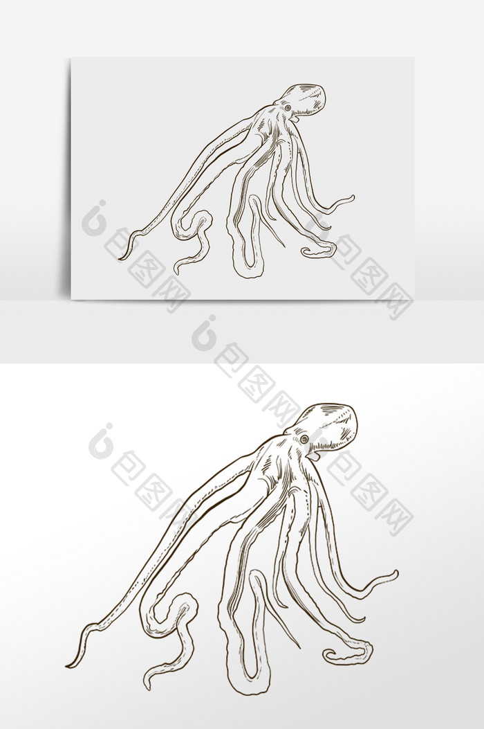 手绘线描素描海鲜章鱼插画