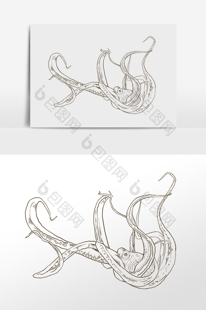 手绘线描素描海鲜食物章鱼插画