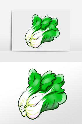 手绘绿色新鲜有机蔬菜白菜插画