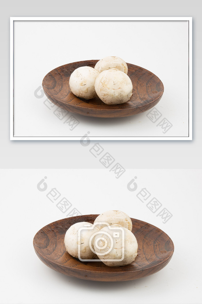 白底食用白蘑菇摄影图片
