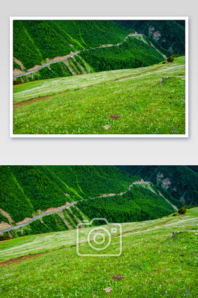 四川四姑娘山绿色植被青山旅行大自然景高清