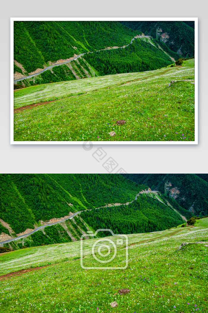 四川四姑娘山绿色植被青山旅行大自然景高清