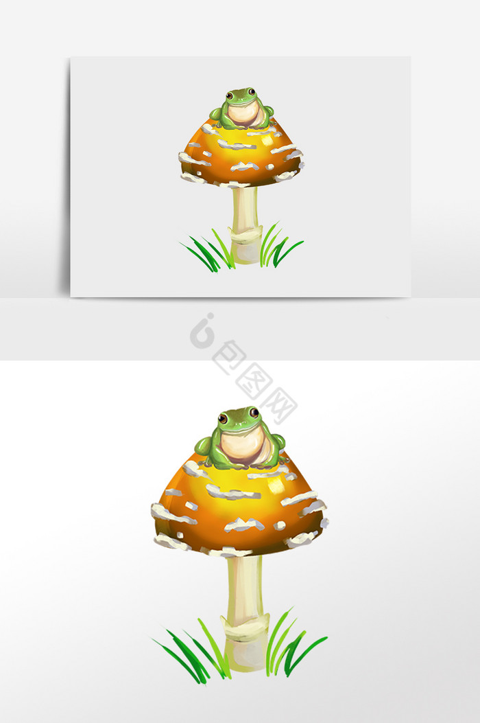 有机蔬菜野生蘑菇插画图片
